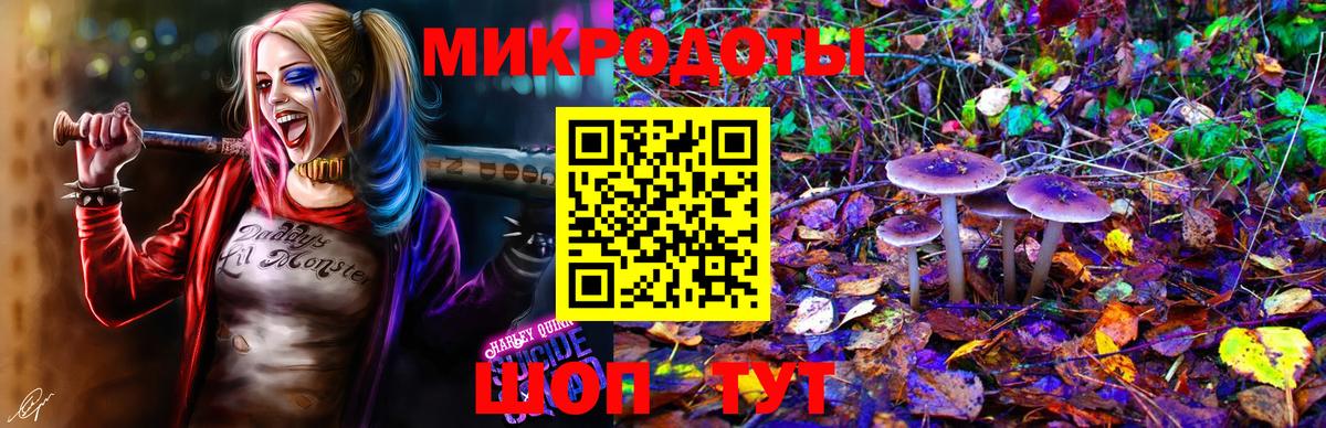 Псилоцибиновые грибы Magic Shrooms  Вход с VPN  Кинель 