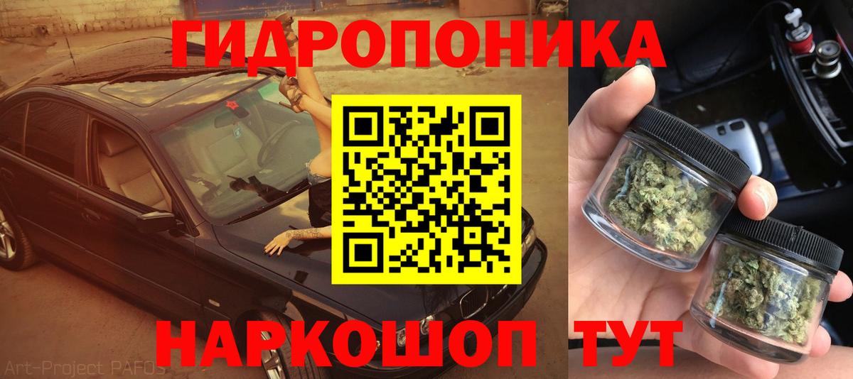 Каннабис семена  Канабис SATIVA & INDICA  МАРИХУАНА планчик  Вход с VPN  Кинель 